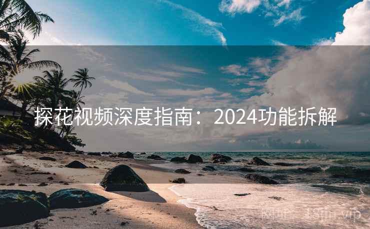 探花视频深度指南：2024功能拆解