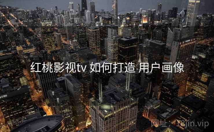 红桃影视tv 如何打造 用户画像