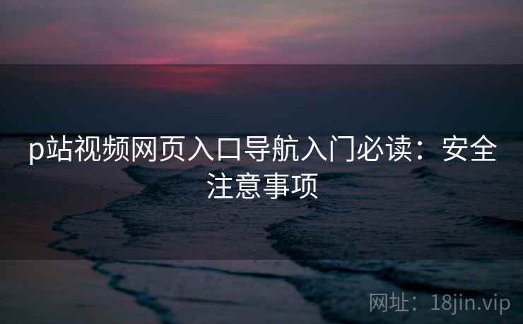 p站视频网页入口导航入门必读：安全注意事项