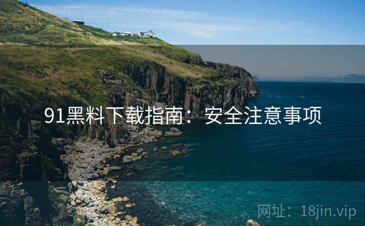 91黑料下载指南：安全注意事项