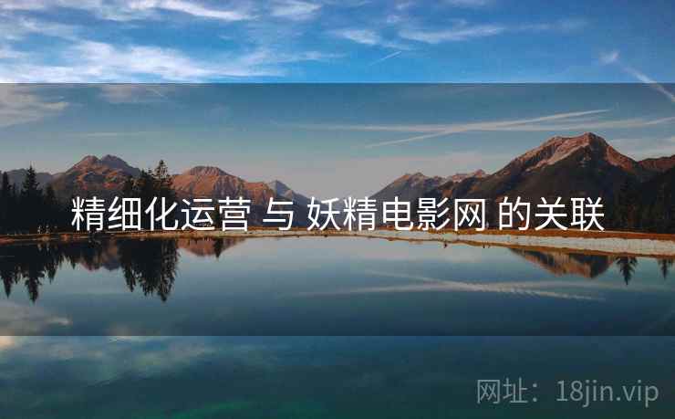 精细化运营 与 妖精电影网 的关联
