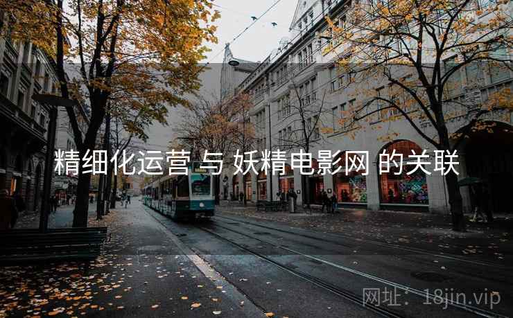 精细化运营 与 妖精电影网 的关联 精细化运营 与 妖精电影网 的关联