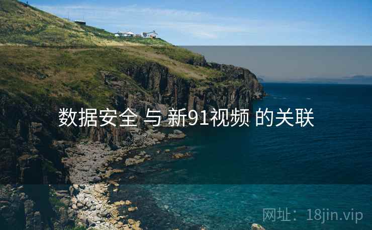 数据安全 与 新91视频 的关联