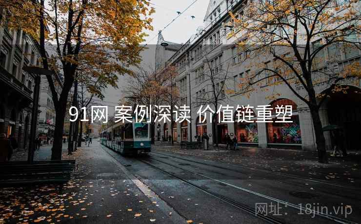 91网 案例深读 价值链重塑 91网 案例深读 价值链重塑