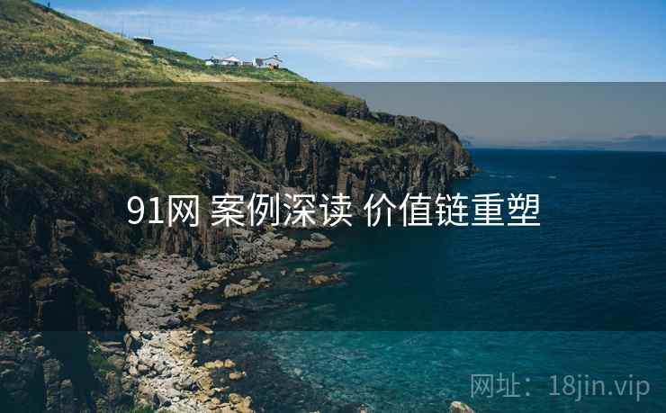 91网 案例深读 价值链重塑