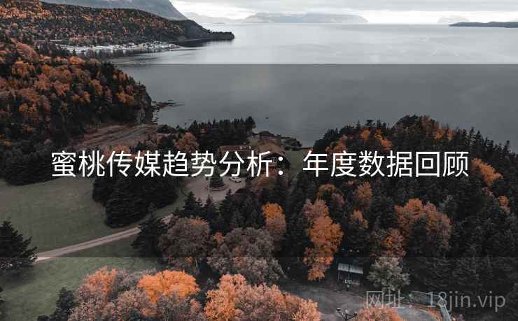 蜜桃传媒趋势分析：年度数据回顾