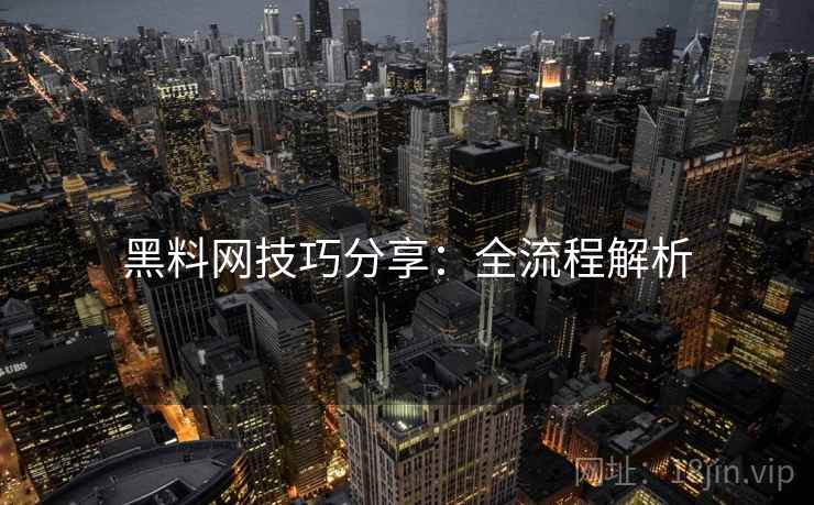 黑料网技巧分享：全流程解析
