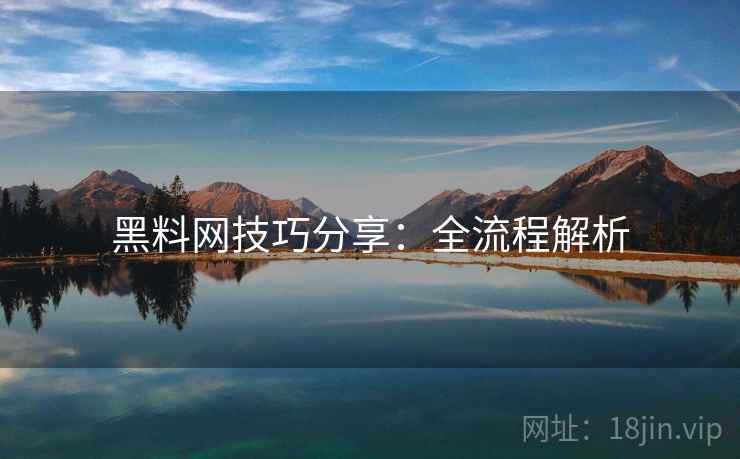 黑料网技巧分享：全流程解析