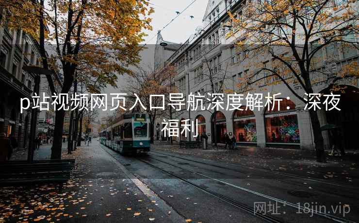p站视频网页入口导航深度解析：深夜福利