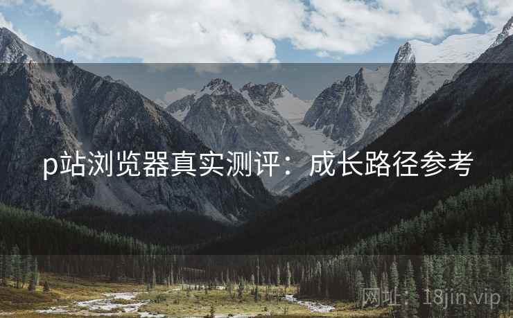 p站浏览器真实测评：成长路径参考