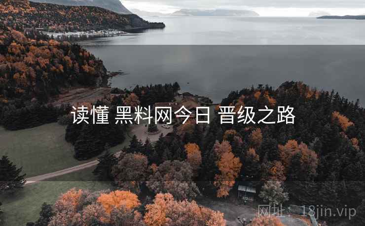 读懂 黑料网今日 晋级之路