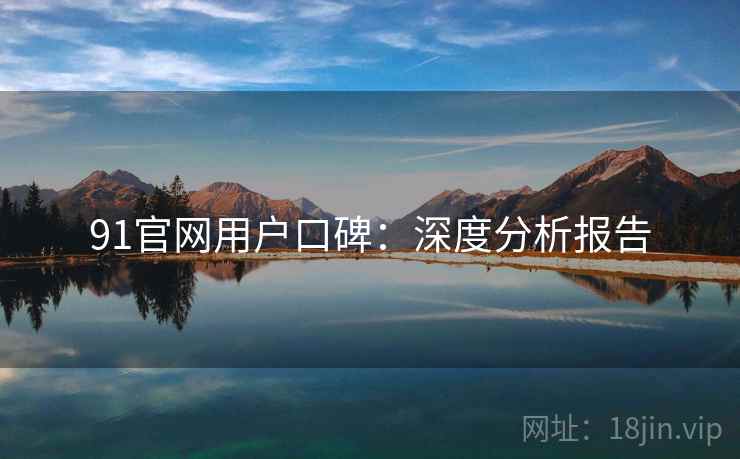 91官网用户口碑：深度分析报告