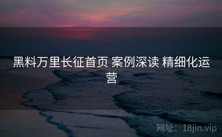 黑料万里长征首页 案例深读 精细化运营 黑料万里长征首页 案例深读 精细化运营