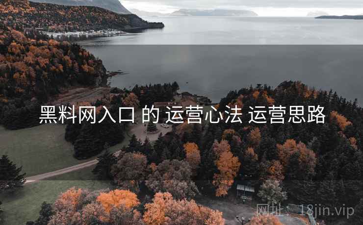 黑料网入口 的 运营心法 运营思路