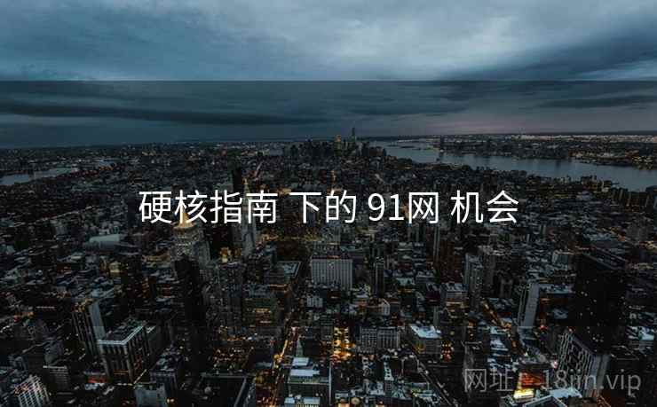 硬核指南 下的 91网 机会