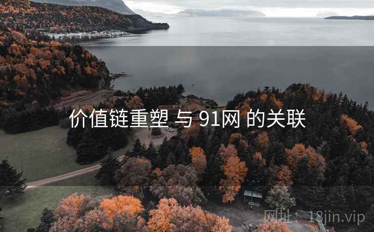 价值链重塑 与 91网 的关联